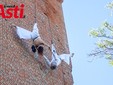 Le immagini del servizio sono di Efrem Zanchettin