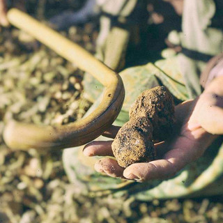 Montemale e il suo oro nero: il tartufo che racconta la Valle Grana