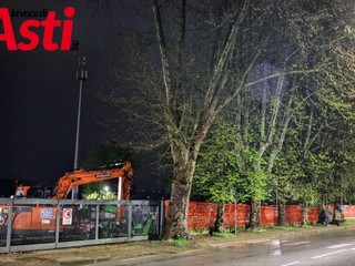 (Merphefoto)