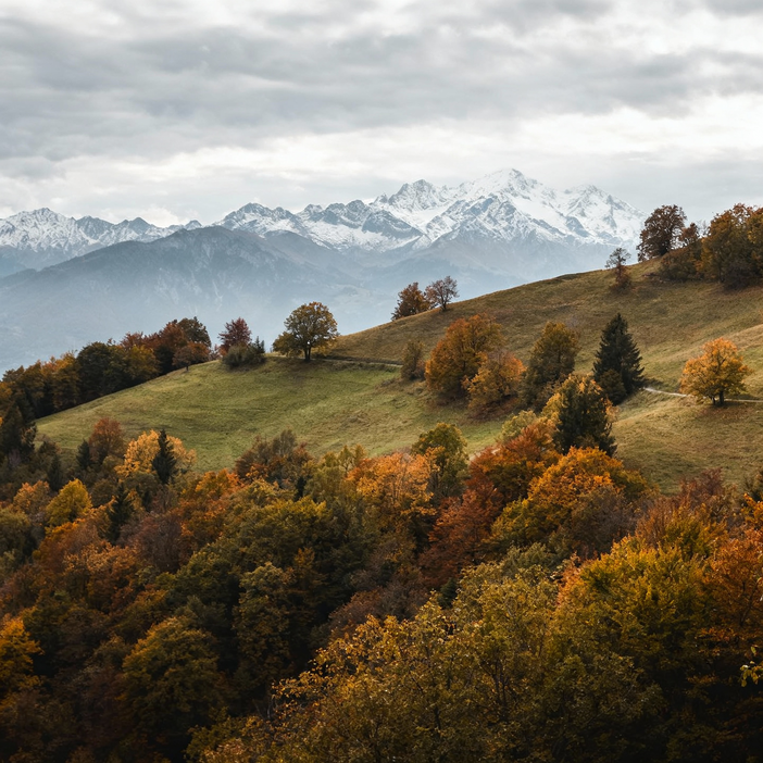 Immagine generata con AI Immagine generata con AI