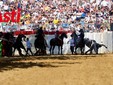La prima batteria (Filippo Rozzino e Asia Barolo) La prima batteria (Filippo Rozzino e Asia Barolo)