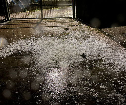 Grandinata a Cantarana (canale Telegram Dati Meteo Asti)