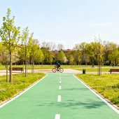 Immagine generica Immagine generica