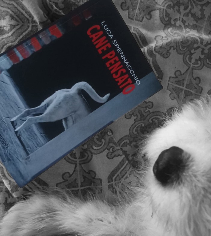 "Cani di domani”: ad Asti una rassegna per riflettere sul nostro rapporto con i cani "Cani di domani”: ad Asti una rassegna per riflettere sul nostro rapporto con i cani