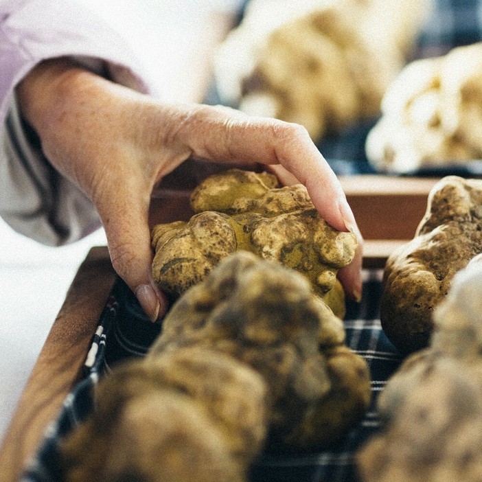 Moncalvo si prepara alla Fiera del Tartufo: tre giorni tra sapori, show cooking e novità immersive Moncalvo si prepara alla Fiera del Tartufo: tre giorni tra sapori, show cooking e novità immersive