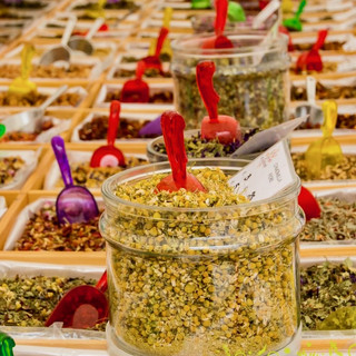 QuintEssenza a Savigliano: le erbe officinali tra botanica e cucina