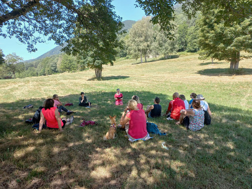 Paesaggi e Oltre