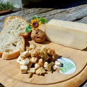 I Ciabrie: la passione di Laura per le capre che sfida l’inesorabile spopolamento di una valle alpina I Ciabrie: la passione di Laura per le capre che sfida l’inesorabile spopolamento di una valle alpina