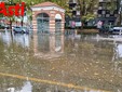 Le foto di piazza del Palio sono di MerfePhoto