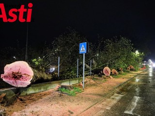 (Merphefoto)