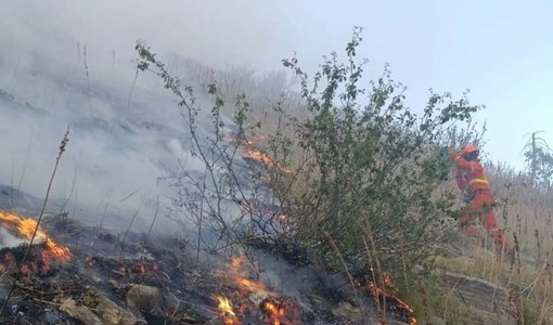 Foreste sicure e lotta agli incendi, la Regione rinnova l'intesa con i carabinieri forestali Foreste sicure e lotta agli incendi, la Regione rinnova l'intesa con i carabinieri forestali