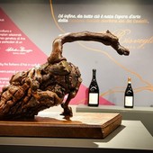 Musei di Asti accoglie ‘L’Anima del Vino’: il racconto artistico della Barbera