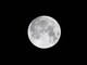 Superluna il 7 ottobre, l'evento in arrivo: cosa c'è da sapere