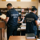 Clavesana, avviso di fine indagine per undici persone: contestati falso, peculato e vendita illecita di terreni di proprietà del Comune