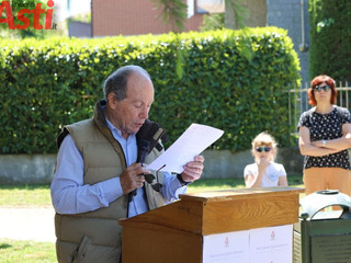 Galleria fotografica di MerfePhoto