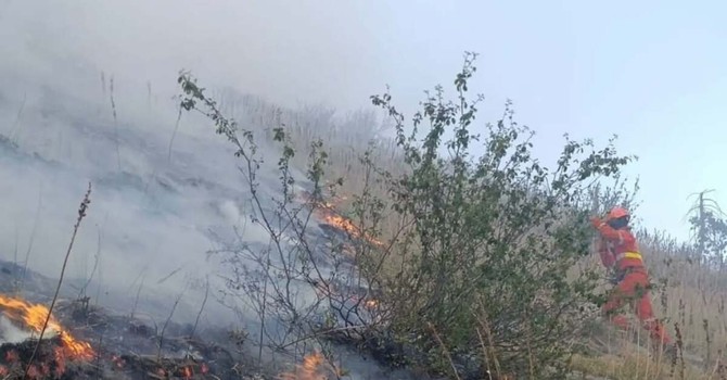 Foreste sicure e lotta agli incendi, la Regione rinnova l'intesa con i carabinieri forestali