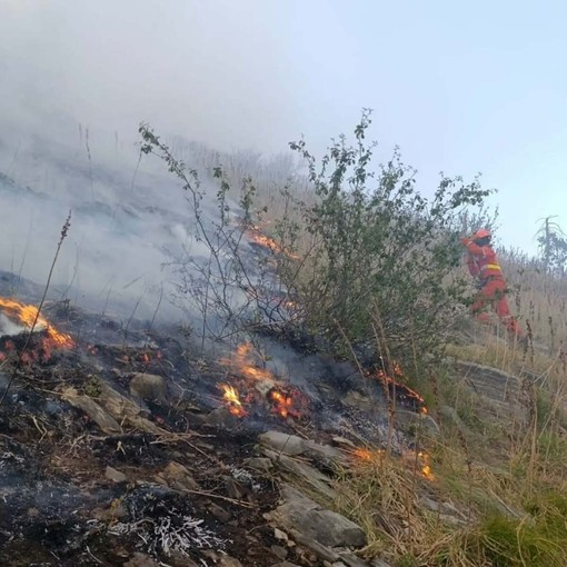 Foreste sicure e lotta agli incendi, la Regione rinnova l'intesa con i carabinieri forestali Foreste sicure e lotta agli incendi, la Regione rinnova l'intesa con i carabinieri forestali