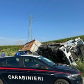 Autoarticolato carico di polli finisce fuori strada sulla provinciale tra Magliano Alfieri e Priocca Autoarticolato carico di polli finisce fuori strada sulla provinciale tra Magliano Alfieri e Priocca