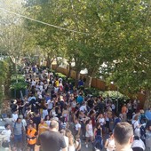Le immagini allegate all'ordinanza di Massimo Cerruti