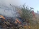 Foreste sicure e lotta agli incendi, la Regione rinnova l'intesa con i carabinieri forestali Foreste sicure e lotta agli incendi, la Regione rinnova l'intesa con i carabinieri forestali