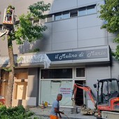 Corso Savona chiuso al traffico per l'abbattimento di un albero [FOTO]