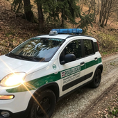 Un'auto della Polizia Locale della Provincia di Cuneo