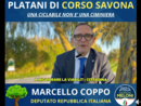 Coppo sui platani: "Gli ambientalisti difendono gli alberi, ma quando c'è da parlare di aborto cosa fanno?" Malandrone: "Non tiri in mezzo certe questioni" Coppo sui platani: "Gli ambientalisti difendono gli alberi, ma quando c'è da parlare di aborto cosa fanno?" Malandrone: "Non tiri in mezzo certe questioni"