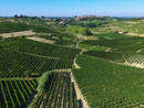 "Qualità e diversificazione: da qui passa il futuro del vino cooperativo" "Qualità e diversificazione: da qui passa il futuro del vino cooperativo"
