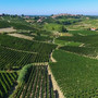 &quot;Qualità e diversificazione: da qui passa il futuro del vino cooperativo&quot;