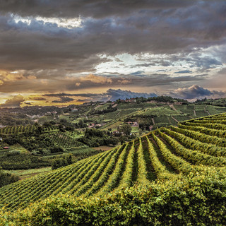 Archivio Paesaggi Vitivinicoli del Piemonte Langhe, Roero, Monferrato Unescp (Credito Carlo Avataneo)