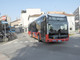 Variazioni di percorso dei bus urbani durante la chiusura di piazza Alfieri per il Palio di Asti