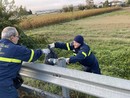 I volontari della Protezione Civile in azione per &quot;Puliamo il Mondo&quot; [FOTO]