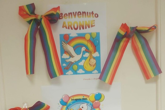 &quot;Piaccia o no, alla nascita siamo maschi o femmine&quot;: il consigliere regionale Sacchetto contro le politiche di Padova e Bologna