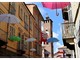 Ph Efrem Zanchettin - Merfephoto