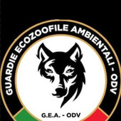 Ami gli animali? Gea-Odv apre le iscrizioni al 3° corso 2026 per Guardie Zoofile Ami gli animali? Gea-Odv apre le iscrizioni al 3° corso 2026 per Guardie Zoofile