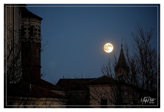 Ph Efrem Zanchettin - Merfephoto Ph Efrem Zanchettin - Merfephoto