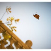 Ph Efrem Zanchettin - Merfephoto