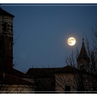 Ph Efrem Zanchettin - Merfephoto