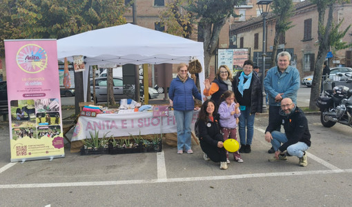 Anita a Incisa