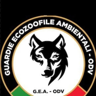 Ami gli animali? Gea-Odv apre le iscrizioni al 3° corso 2026 per Guardie Zoofile