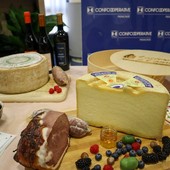 Etichettatura DOP e IGP: più trasparenza per i consumatori, più valore per le filiere agricole