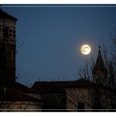 Ph Efrem Zanchettin - Merfephoto Ph Efrem Zanchettin - Merfephoto