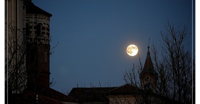 Ph Efrem Zanchettin - Merfephoto Ph Efrem Zanchettin - Merfephoto