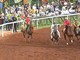 Palio di Piancastagnaio, Voltaia torna al trionfo dopo sette anni