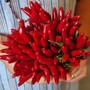 Tutti i benefici del peperoncino: piccante e salutare