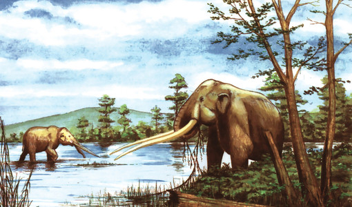 Questa sera a Roatto don Luigi Berzano presenta il libro "Le valli del mare"