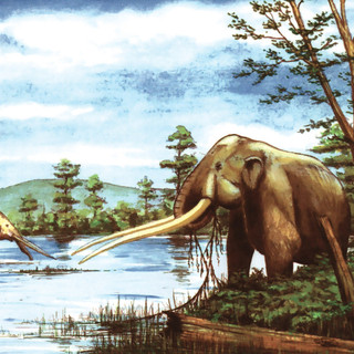 Questa sera a Roatto don Luigi Berzano presenta il libro "Le valli del mare"