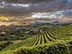 Archivio Paesaggi Vitivinicoli del Piemonte Langhe, Roero, Monferrato Unescp (Credito Carlo Avataneo)