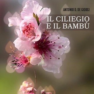 Incontro con l’autore: &quot;Il ciliegio e il bambù&quot; alla biblioteca comunale di Ferrere
