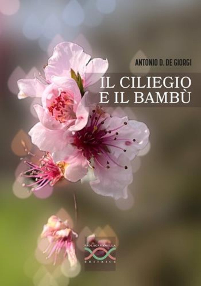 Incontro con l’autore: &quot;Il ciliegio e il bambù&quot; alla biblioteca comunale di Ferrere
